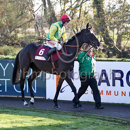 Sizing Europe , 2nd - Jockey A E Lynch - FT8E6985-e