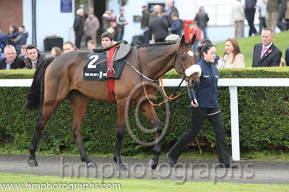 07 Tiger Roll and B J Cooper - PU - 07th (2 ,maroon white star ) Trainer - G Elliott