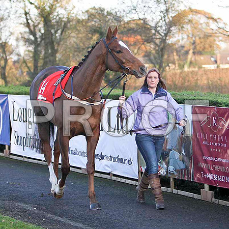 Farewell Angelina - 11th , Jockey Mr W Thompson - FT8E7275-e