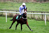 Mrs Diniver , 12th - Jockey P Townend - FT8E5256-e