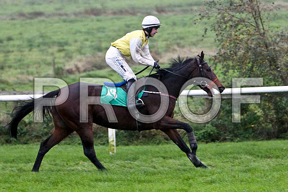 Oh So Gogo , U - Jockey I J McCarthy - FT8E5464-e