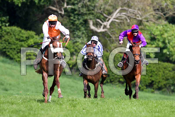 Bringbackthebeat , Winner, Jockey - J J Codd , Derryogue, 3rd, Jockey - W G Rankin & Cilliseal , 2nd, Jockey - M J O'Hare -IMG_0533-e