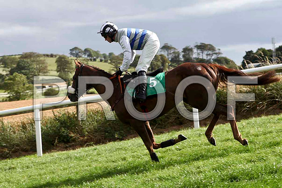 Cadeaux Fax - 7th, Jockey P Carberry - IMG_9420-e