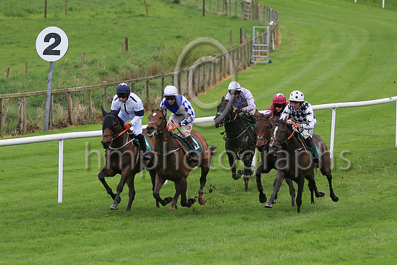 01st WILD SHOTand S. Fitzgerald (5) ( 1 , White and black diamonds ) Trainer - JOHN MCCONNELL , Owner - Cathal McGuckin