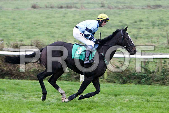 Call Box - Winner, Jockey Mr B G Crawford - FT8E5461-e