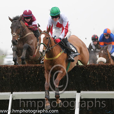 01 Down Ace and Ger Fox - - 01st (6 ,white, red diamond ) Trainer - Noel Meade