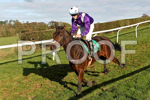 Gerannjo , Jockey P Townend - Fell - FT8E4465-e