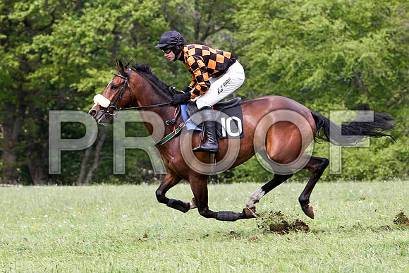 Mister Philson - Winner, Jockey Derek O'Connor - FT8E2480-e