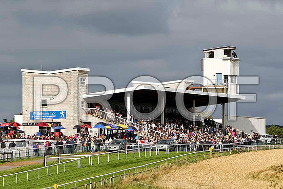 Downpatrick Racing Club Main stand - FT8E3909-e2