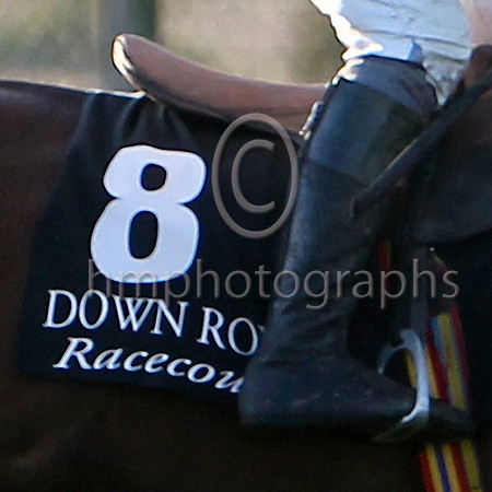Number 8 Down Royal Racecourse - FT8E6689-e2