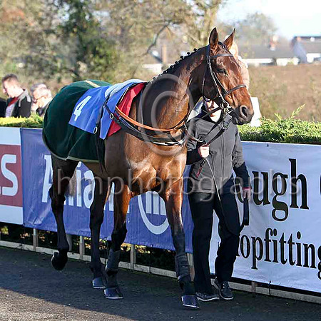 Blazing Tempo , 3rd - Jockey P Townend - FT8E7029-e