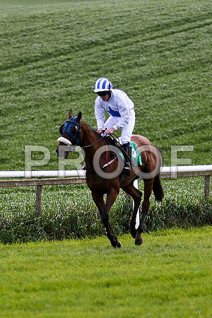 Academy Guest , 9th, Jockey - S E Butler - FT8E2895-e