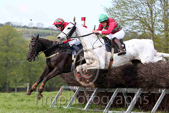 Fogonthetyne , 4th, Jockey - M T Foley & Master Florian , 5th, Jockey - C Strain - FT8E2105-e