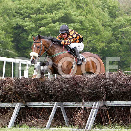 Mister Philson - Winner, Jockey Derek O'Connor - FT8E2535-e