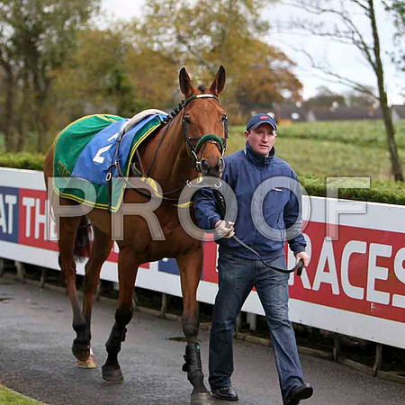 Pandorama , Jockey Paul Carberry - withdrawn - CU2D1159-e