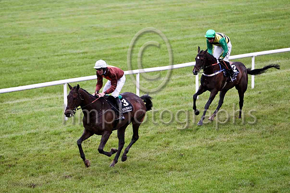 Cosmic Kid & Mr J P O'Rourke - 7th (3, brown, orange disc) & Superior Quality & M D L Queally - 8th (2, yellow & black hoops) - FT8E5497-e