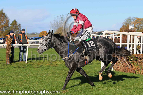 05th Tout Est Permis and M A Enright ( 12 , maroon, white star ) Trainer - M F Morris , Owner - Gigginstown House Stud