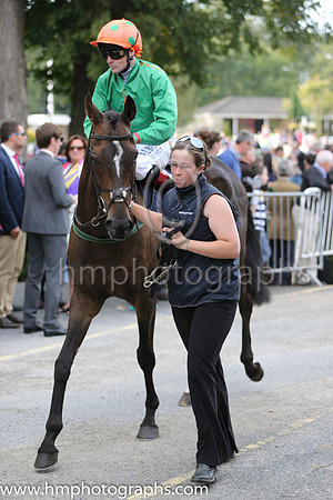 07 Digeanta and P J Smullen - - 07th (8 ,emerald green , orange seams ) Trainer - W P Mullins