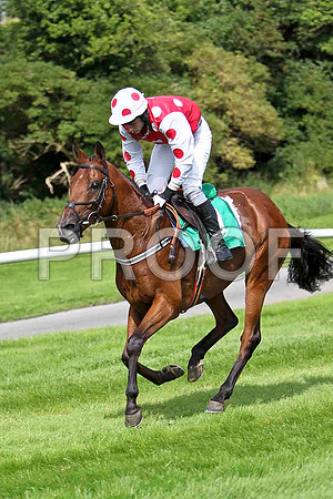 Auenschutze 2nd, Jockey E J McConnell - CU2D1615-e