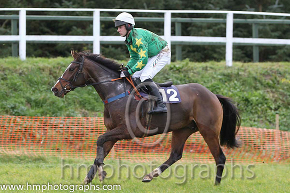 09 Ryansbrook & B O'Neill - Fell (12, emerald green, yellow star) - FT8E0893-5