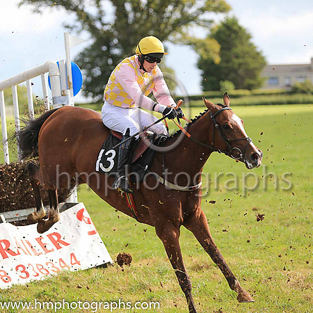 CELEBRITY STATUS and M J O'Hare ( 13 ,pink and yellow check ) Trainer: Warren Ewing,, Owner : Warren Ewing