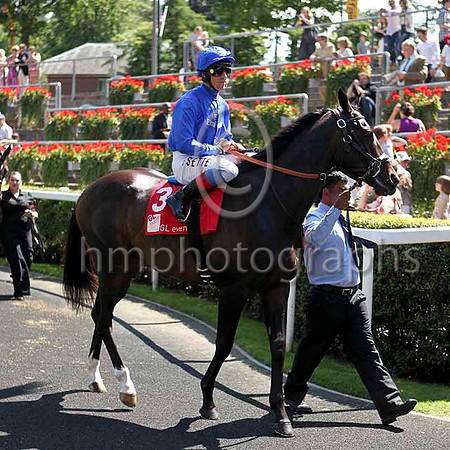 R2 - Frankie Dettori & Willing Foe in the parade ring at Ascot - 3rd -  IMG_9880-e