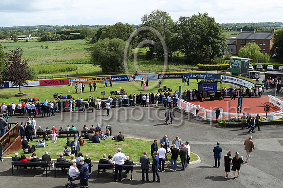 The parade ring on Boylesports Derby Day at Down Royal on 18th June 2022