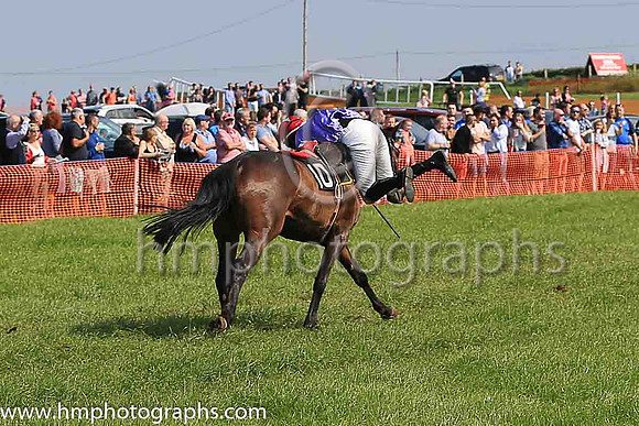TULLYORIOR and R A Devine ( 10 , PURPLE; white sleeves; red cap,white star ) Trainer: Catherine Barry , Owner : Catherine Barry