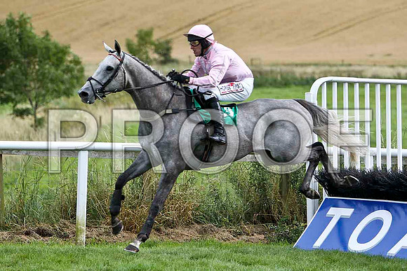 Kilrush - 2nd , Jockey R M Power - - FT8E3883-e