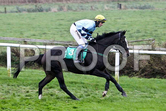 Call Box - Winner, Jockey Mr B G Crawford - FT8E5458-e