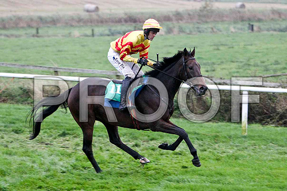 Shane Rock , 2nd - Jockey Andrew J McNamara - FT8E5468-e