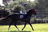 Like the Da 12th, Jockey K H Clarke - FT8E1009-e