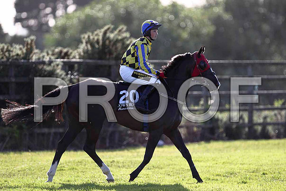 Like the Da 12th, Jockey K H Clarke - FT8E1009-e