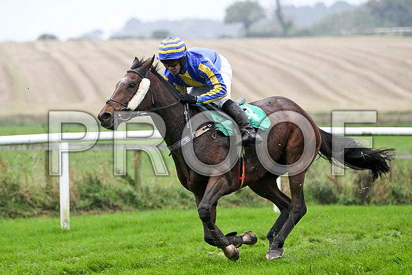 Farfields , 5th - Jockey Mr S Crawford - FT8E5294-e