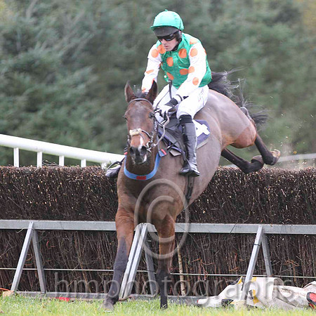 10 Go Conquer & B O'Neill - Fell (4, emerald green, orange spots)FT8E0573-20