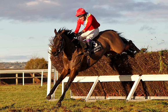 Derravarra Bay 2nd , Jockey E F Power -CU2D3266-e