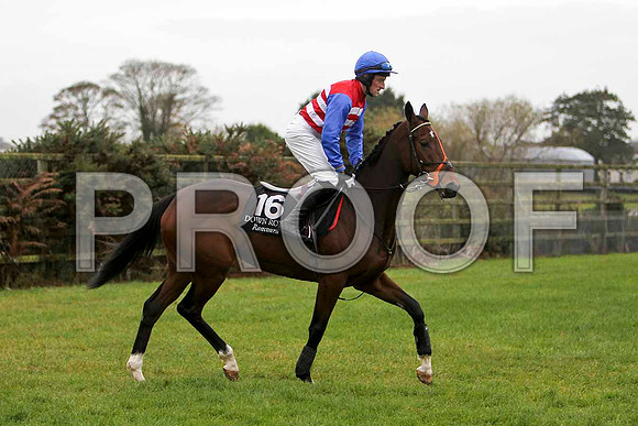 Lisagore Lady - 19th - Jockey P W Flood - CU2D0455-e