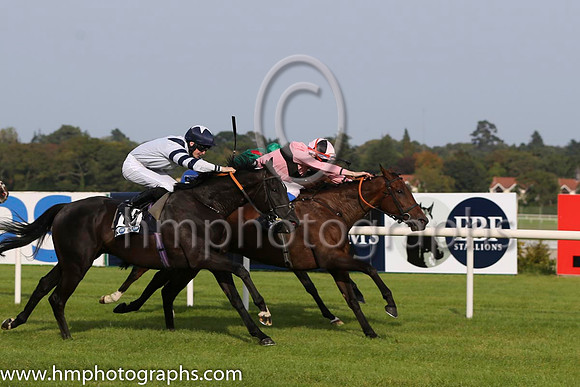 01 Toe The Line and F M Berry - - 01st (9 ,pink, black hoop ) Trainer - J E Keily