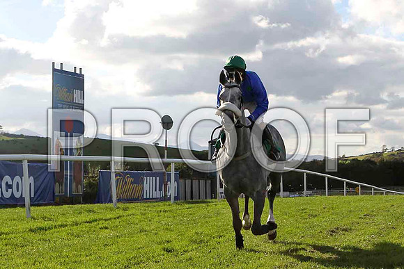Just Like Freddy , Jockey T P Treacy - PU - FT8E4404-e