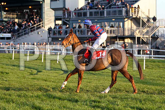 Farewell Angelina - 11th , Jockey Mr W Thompson - FT8E7294-e