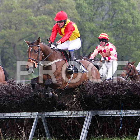 Pilgrams Run , UR, Jockey G Yemm & Miss Katelyn , 2nd, Jockey D L Queally - FT8E2583-e