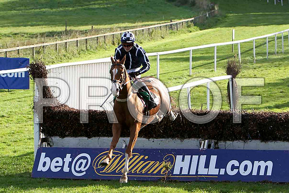 Hawksbury Heights , Jockey Mr G B  Watters - CU2D9330-e
