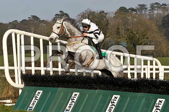 Akadyr - 3rd , Jockey J R Barry - CU2D3698-e