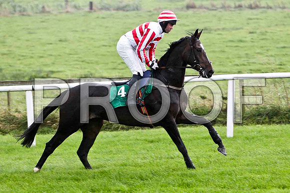 Charlie Swift 5th, Jockey R M Moran -  FT8E5191-e