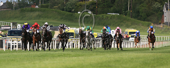 01st Wild Shot (3 , black and white diamonds ) Jockey: Siobhan Rutledge5 , Trainer: John C McConnell