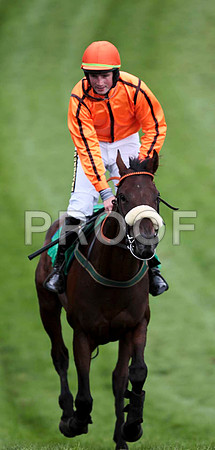 Failed the Test - 5th , Jockey K H Clarke  - CU2D9503-e