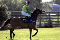 Takendo 19th, Jockey P Townend - FT8E1006-e