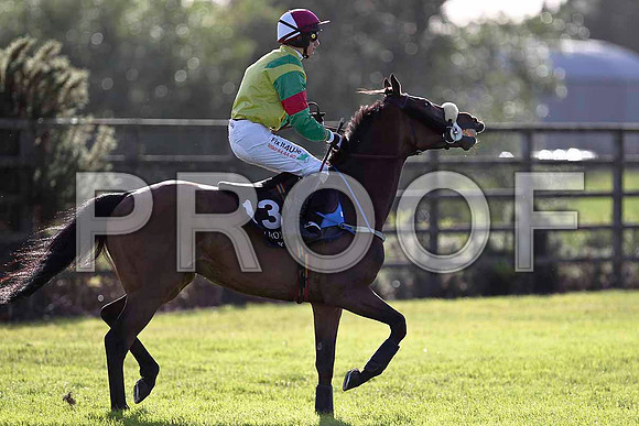Takendo 19th, Jockey P Townend - FT8E1006-e