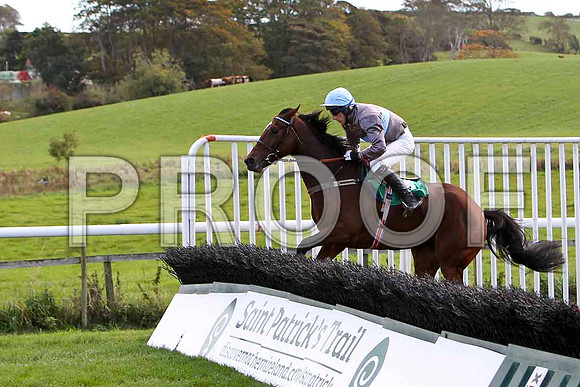 La Mere Germaine , Jockey E J O'Connell - 11th - CU2D9190-e