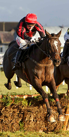 Accordian to Paddy (Red & Black striped sleeves) Winner - Jockey A E Lynch - FT8E9914-e2